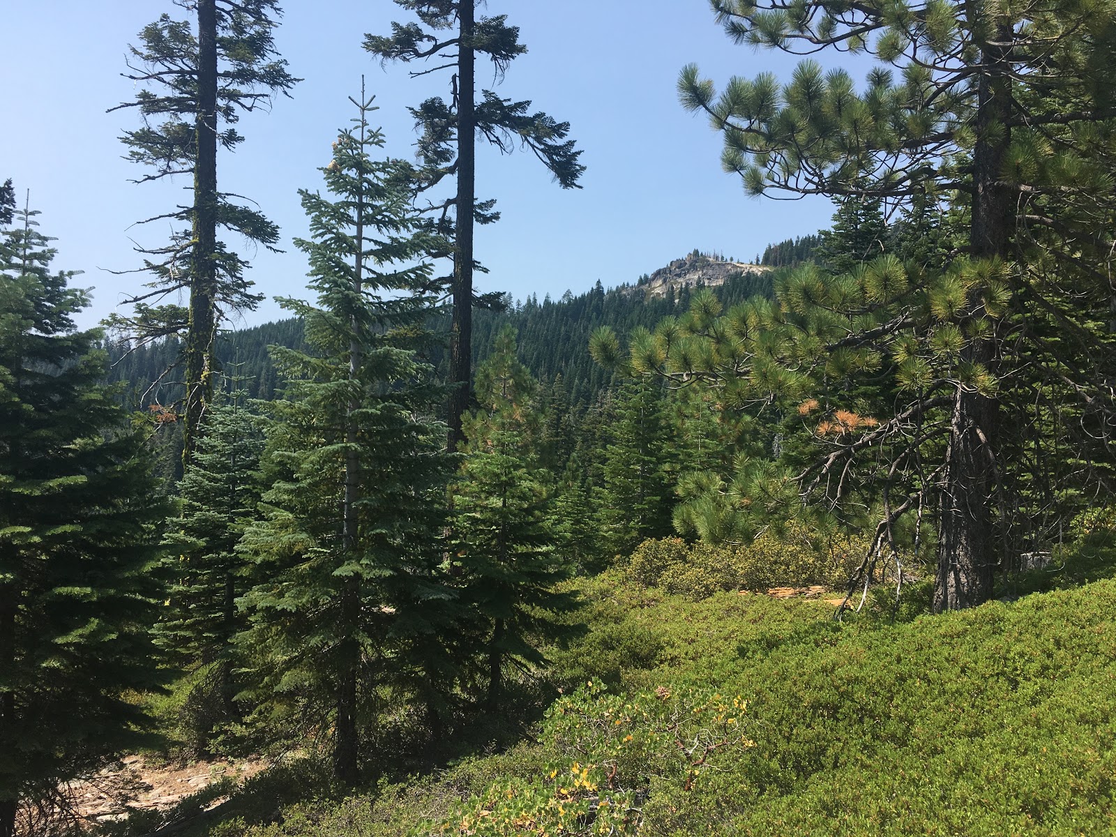 Chapman Creek Campground