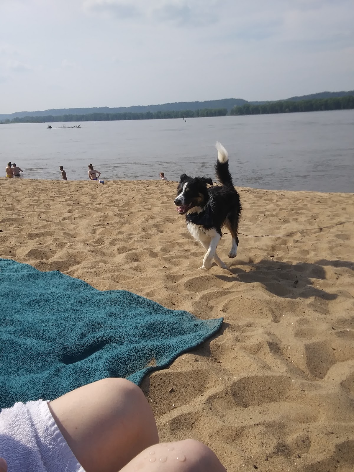 Finleys Landing City Park