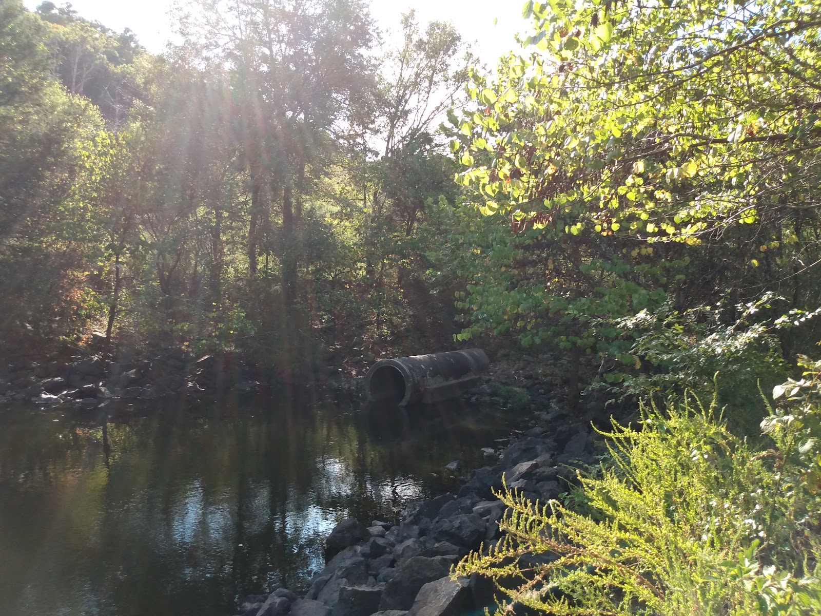 Little Pines Recreation Area & Campground