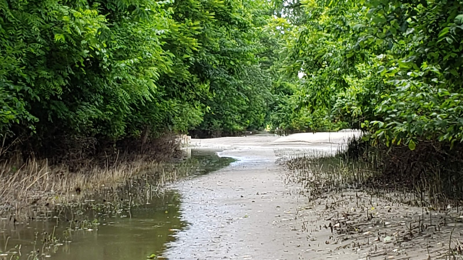 Marion Bottoms Conservation Area