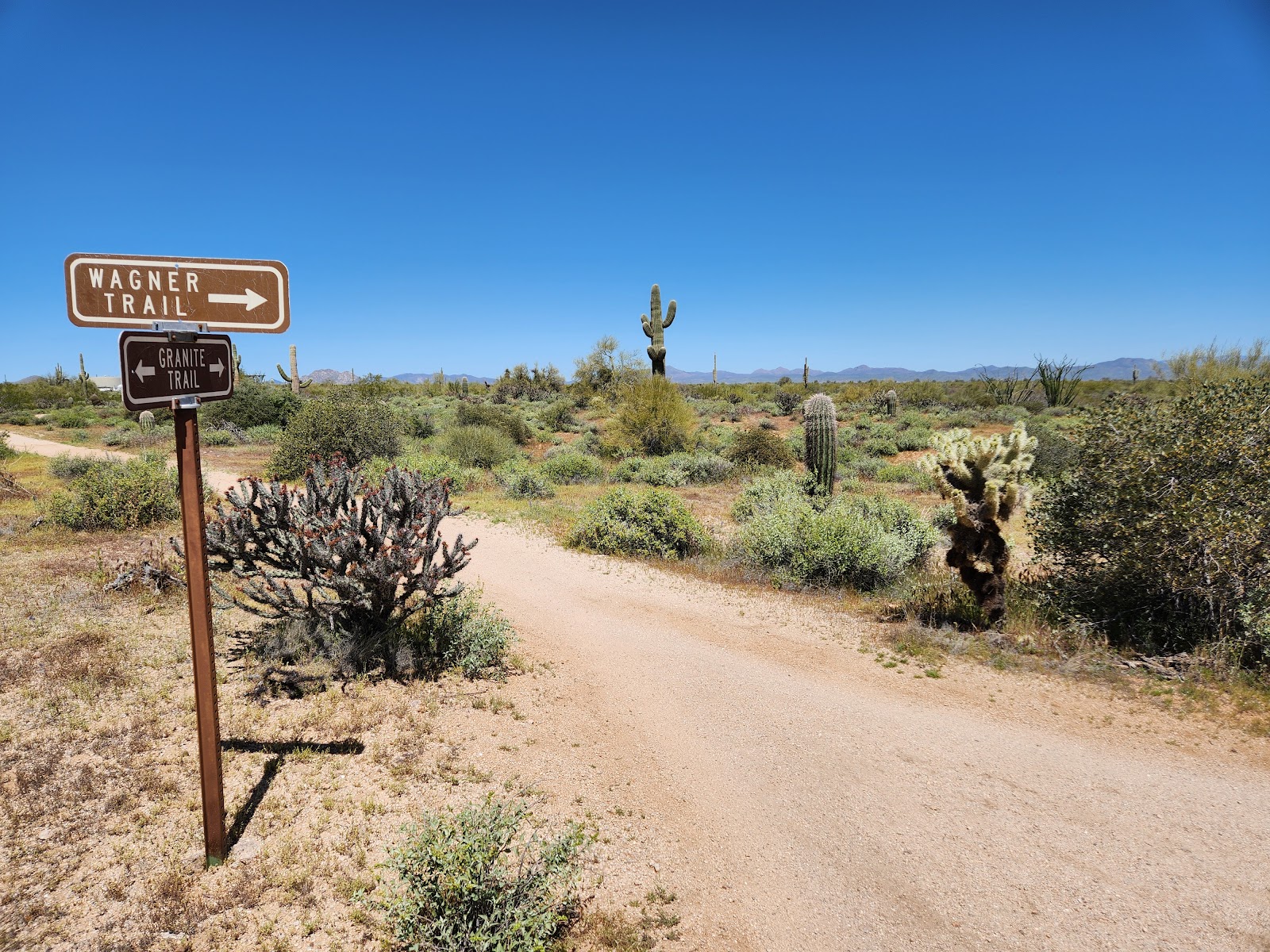 McDowell Mountain Regional Park