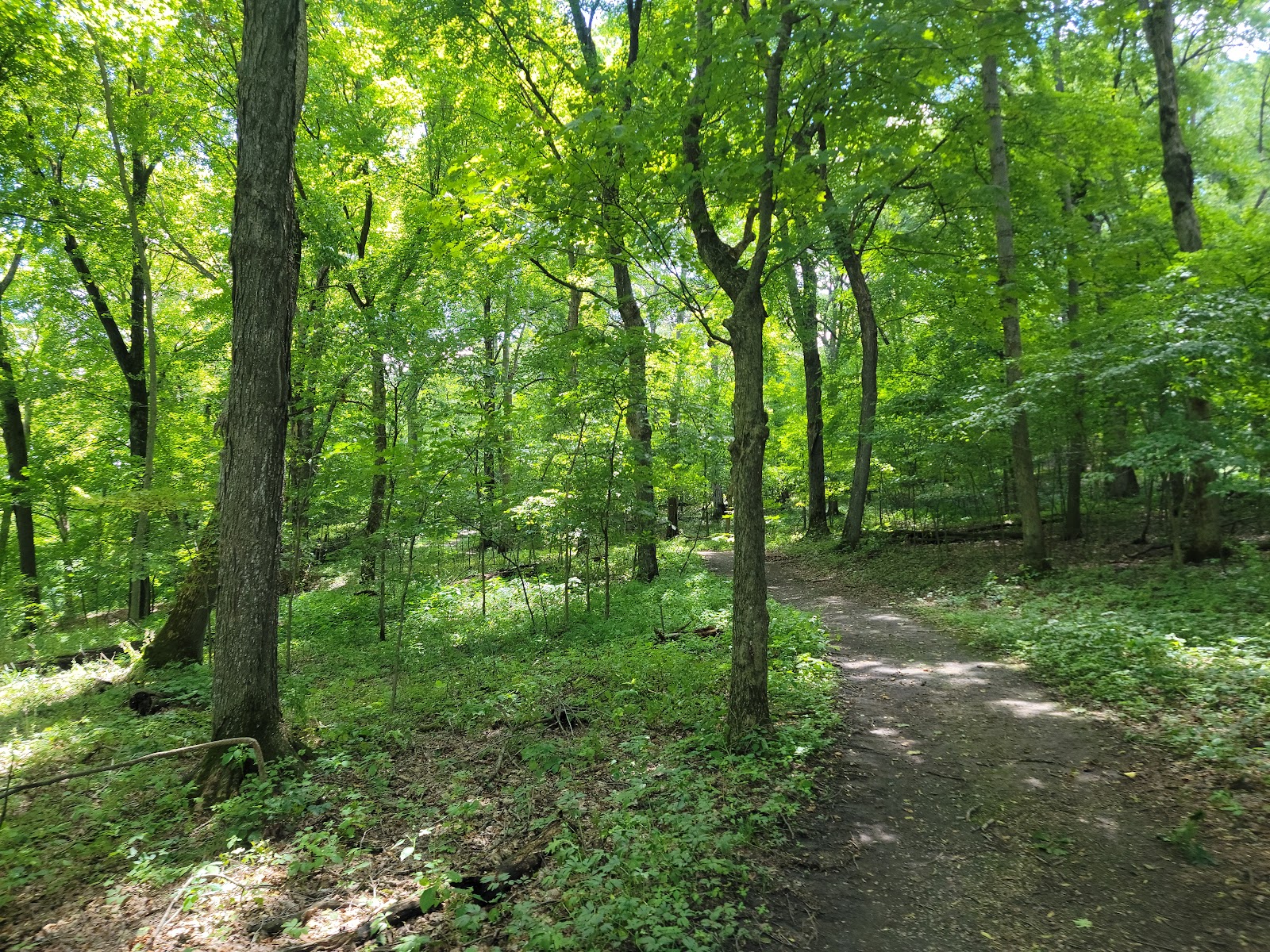 Oxbow Park and Zollman Zoo Campground