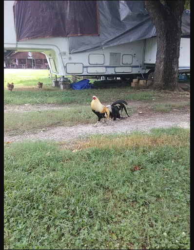 Indian Creek RV Park & Campground