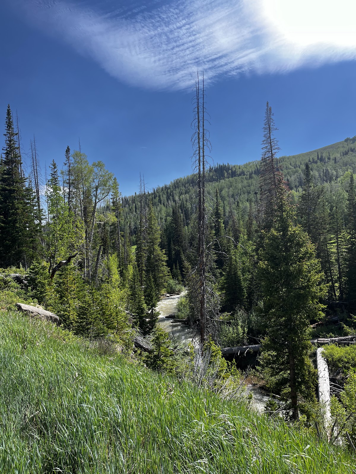 Potters Pond Campground