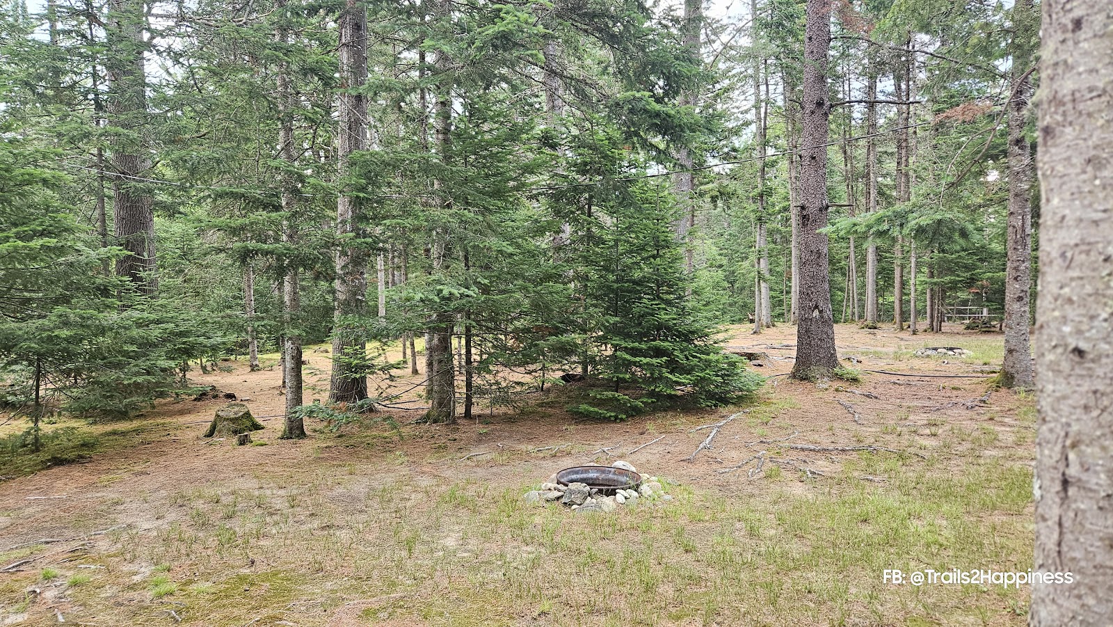 Beech Hill Campground