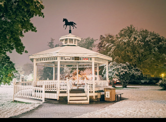 The Historic Union Hotel & RV Park