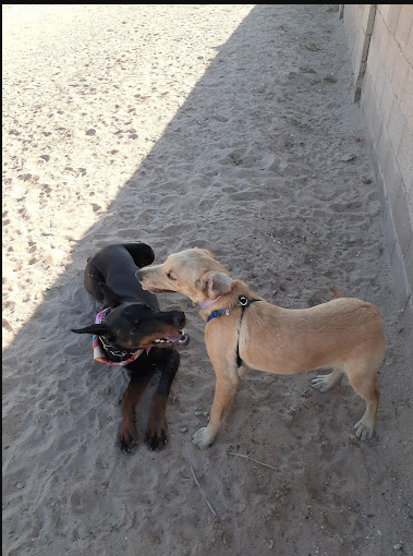 Desert Paradise RV Resort