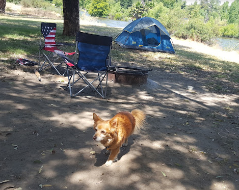 Kern River County Park