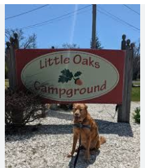 Little Oaks Campground