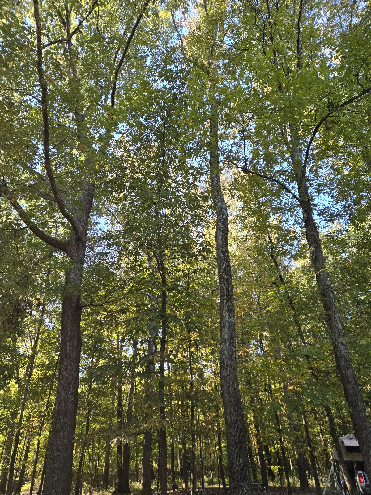 Main - Mousetail Landing State Park