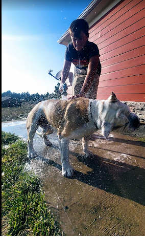 Empire Guesthouse RV Park