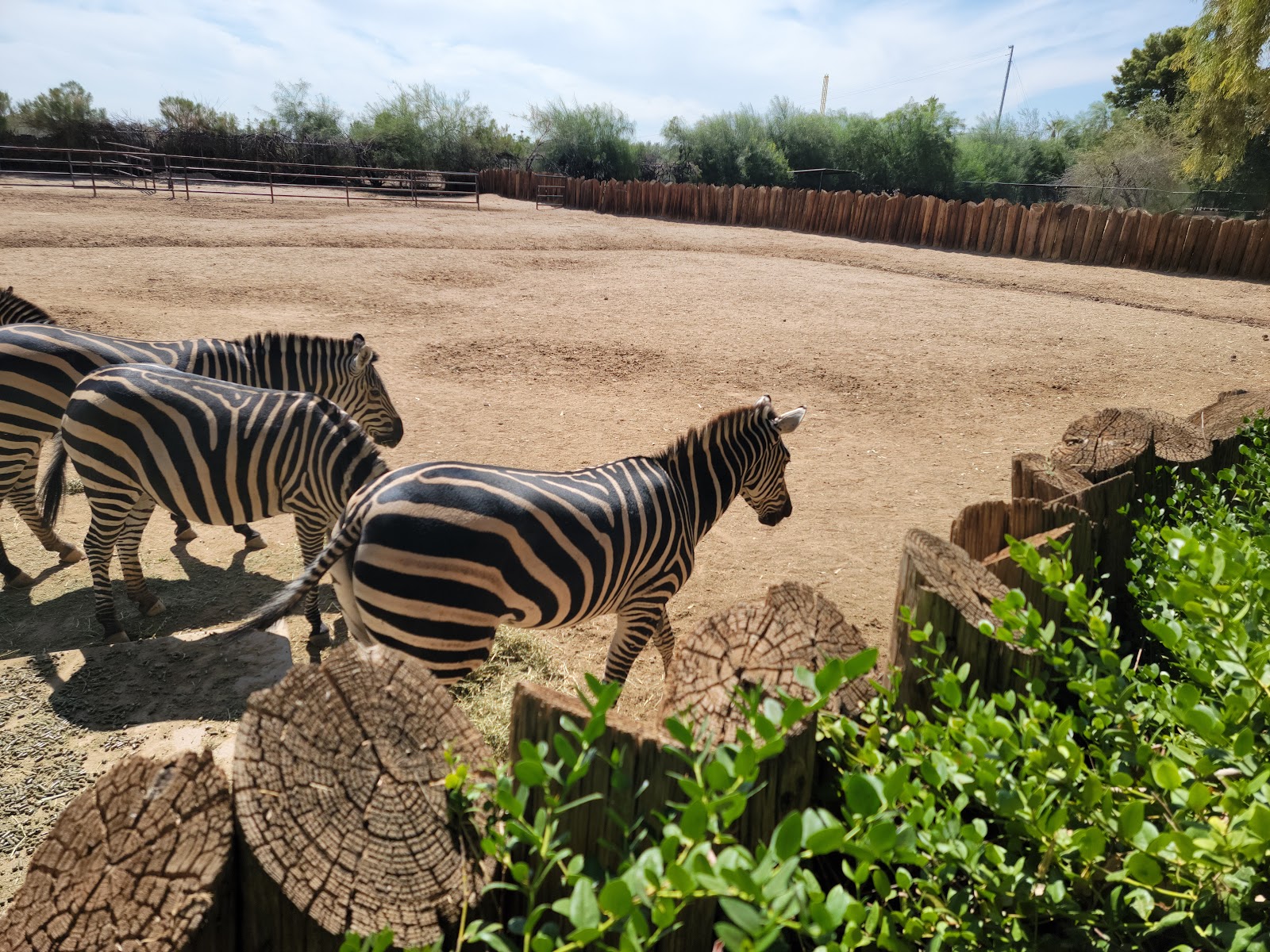 Wildlife World Zoo, Aquarium & Safari Park