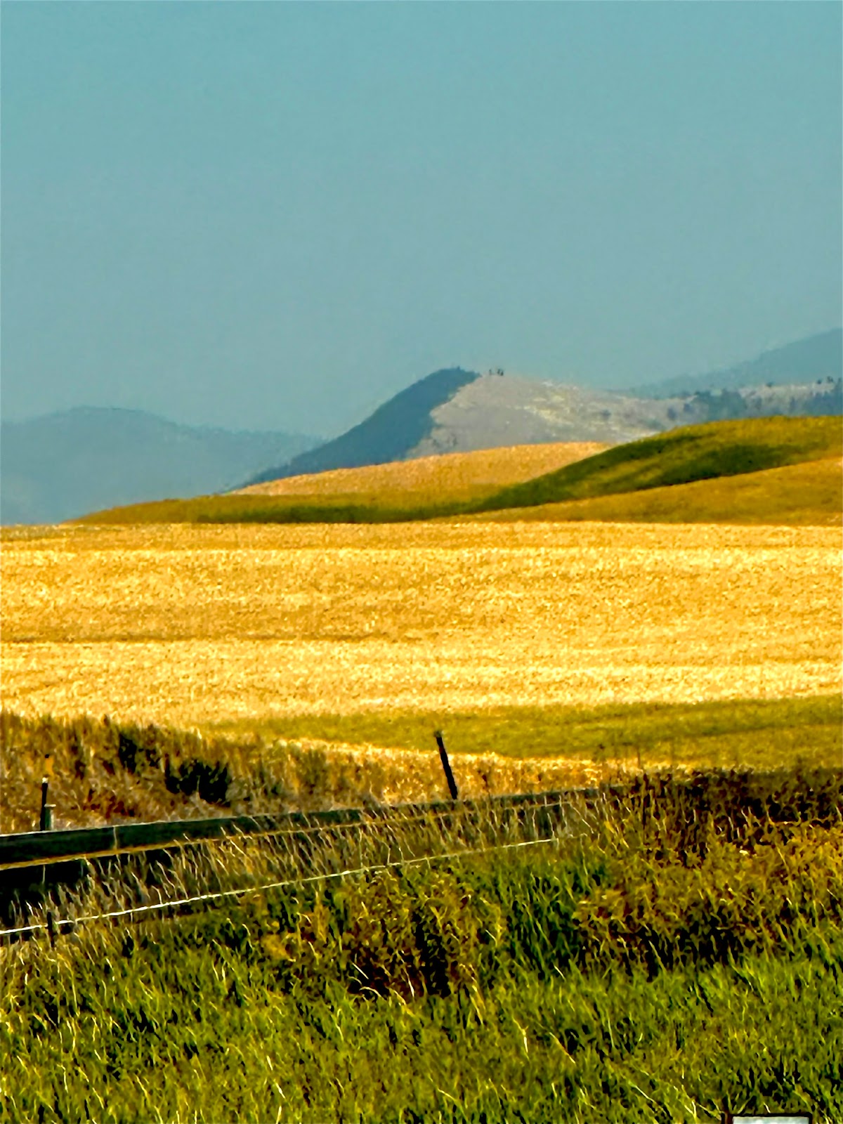 Hilltop Mobile Home & RV Park