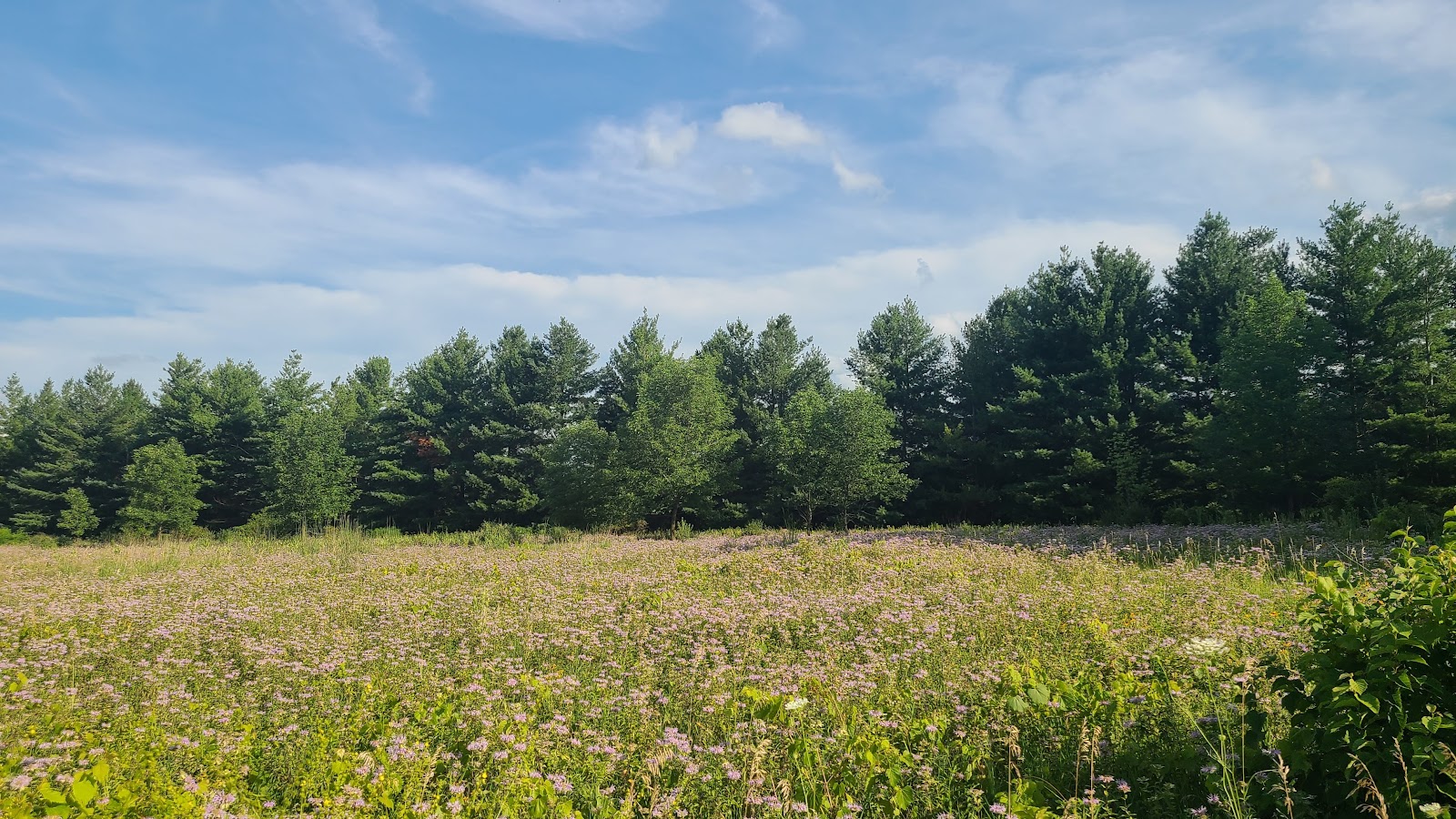 Pecatonica River Forest Preserve