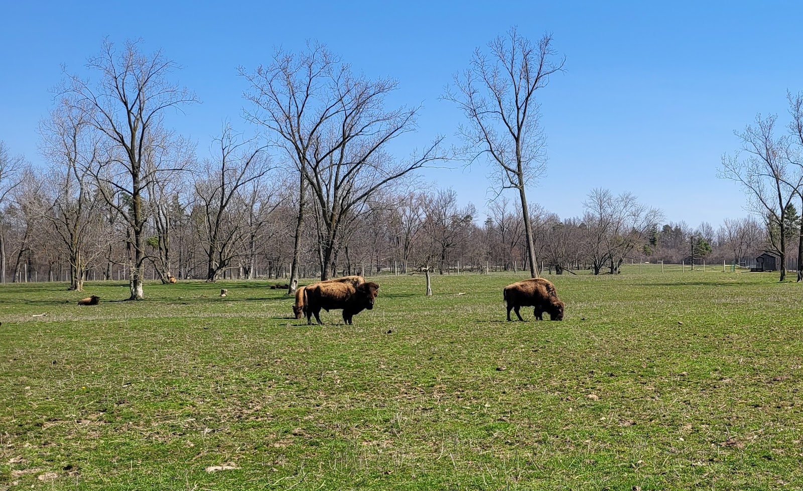Ouabache State Park Campground