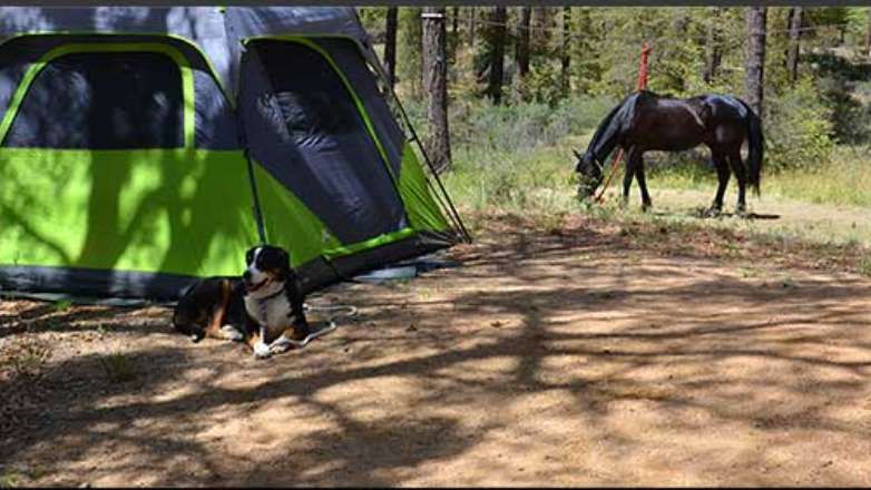 Groom Creek Horse Camp