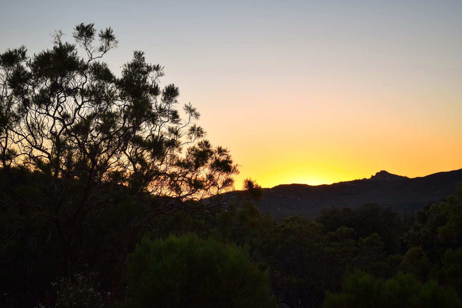 Bobcat Meadow Campground