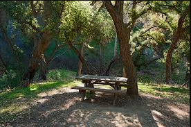 Chino Hills State Park Campground