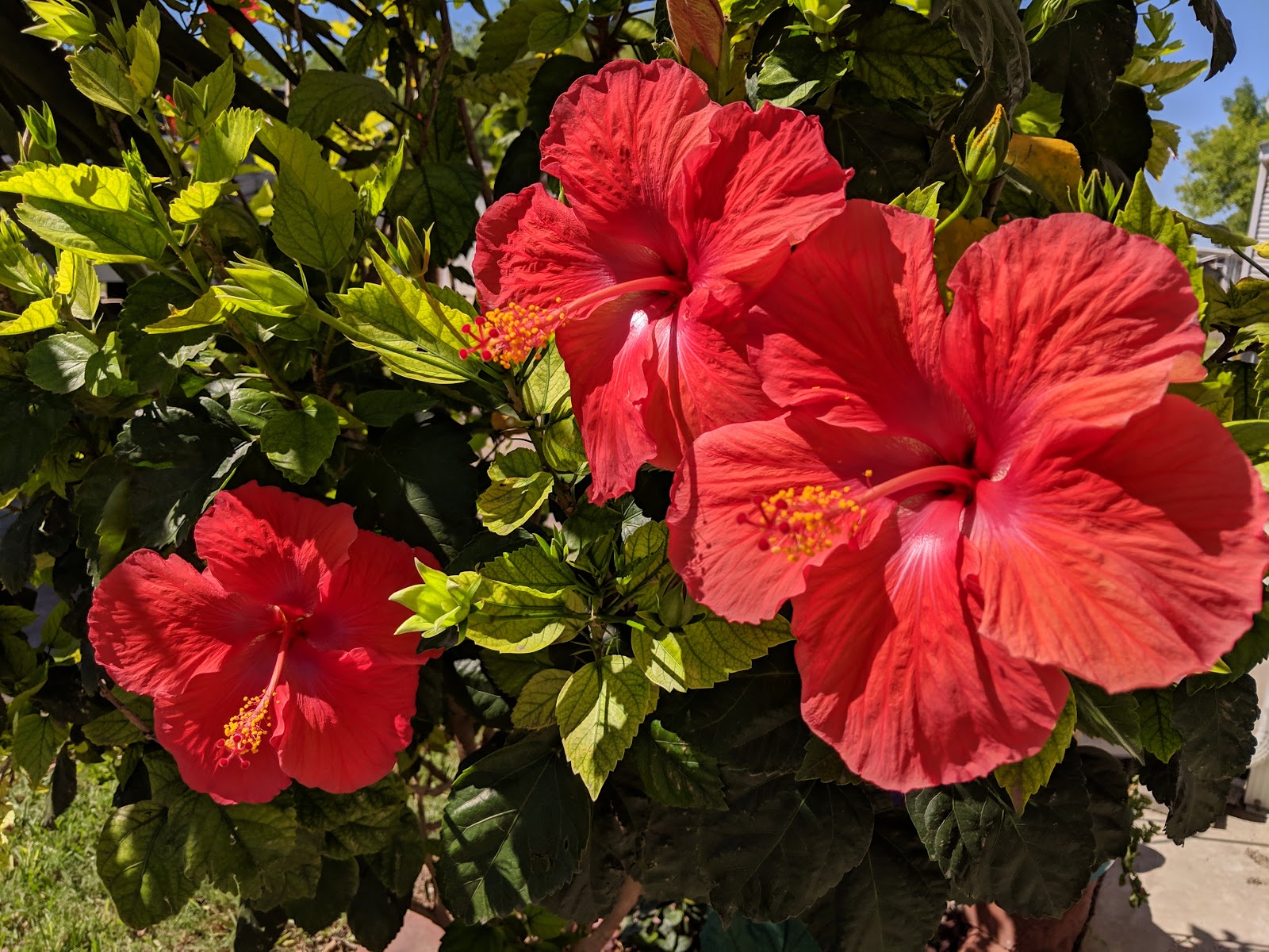 Winter Ranch RV Resort