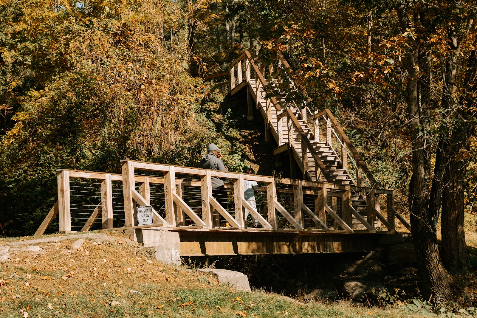 River Beach Campsites