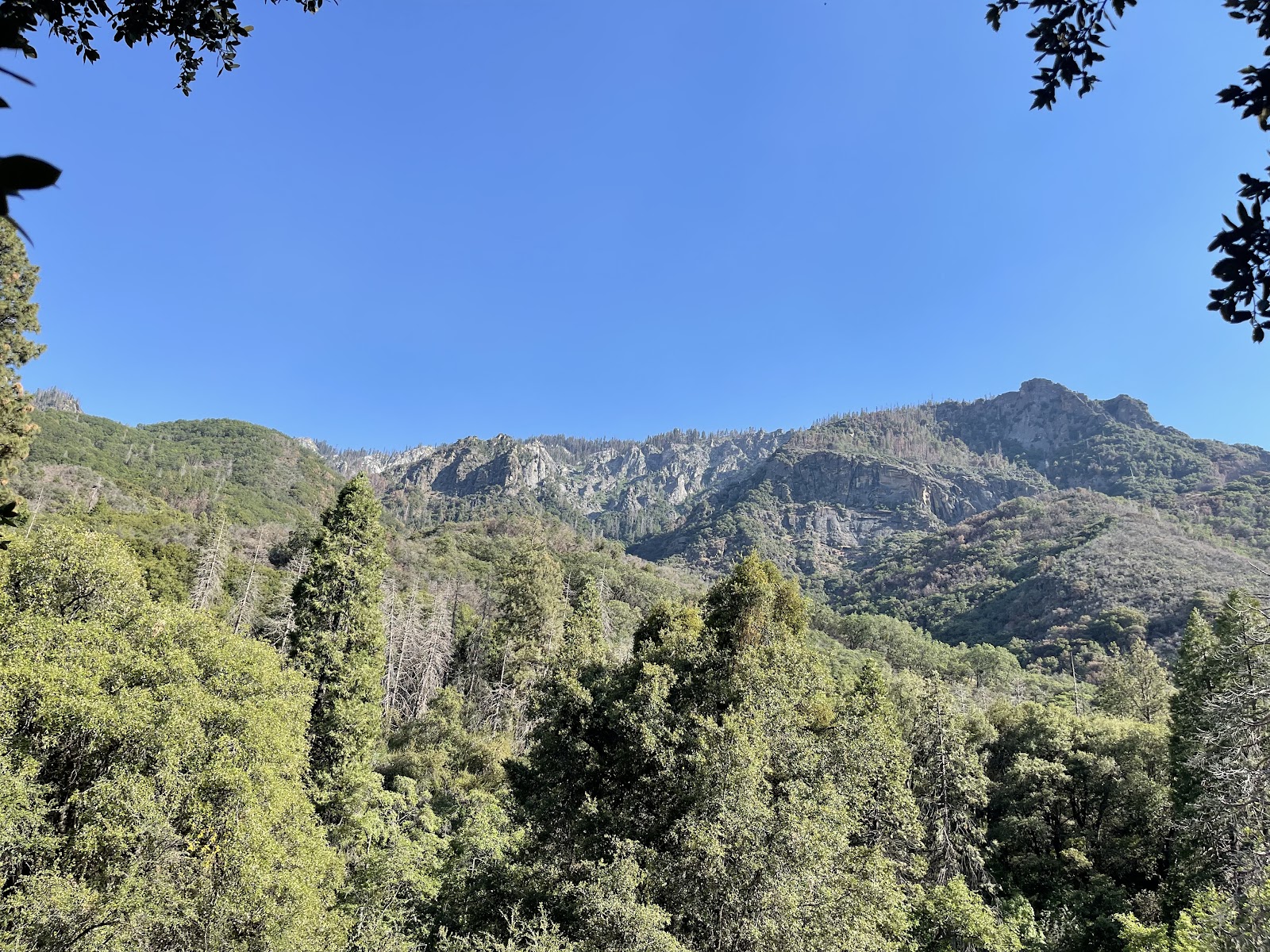South Fork Campground - Sequoia National Park