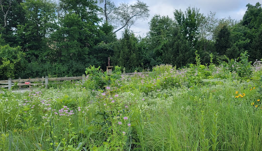 Cool Creek Park & Nature Center