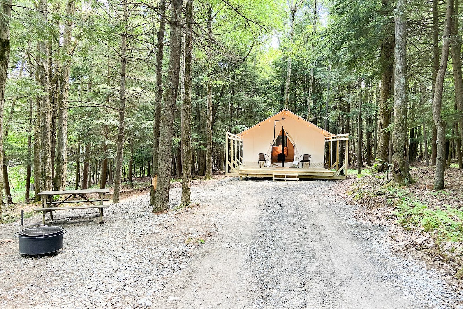 Binghamton Bear Campground