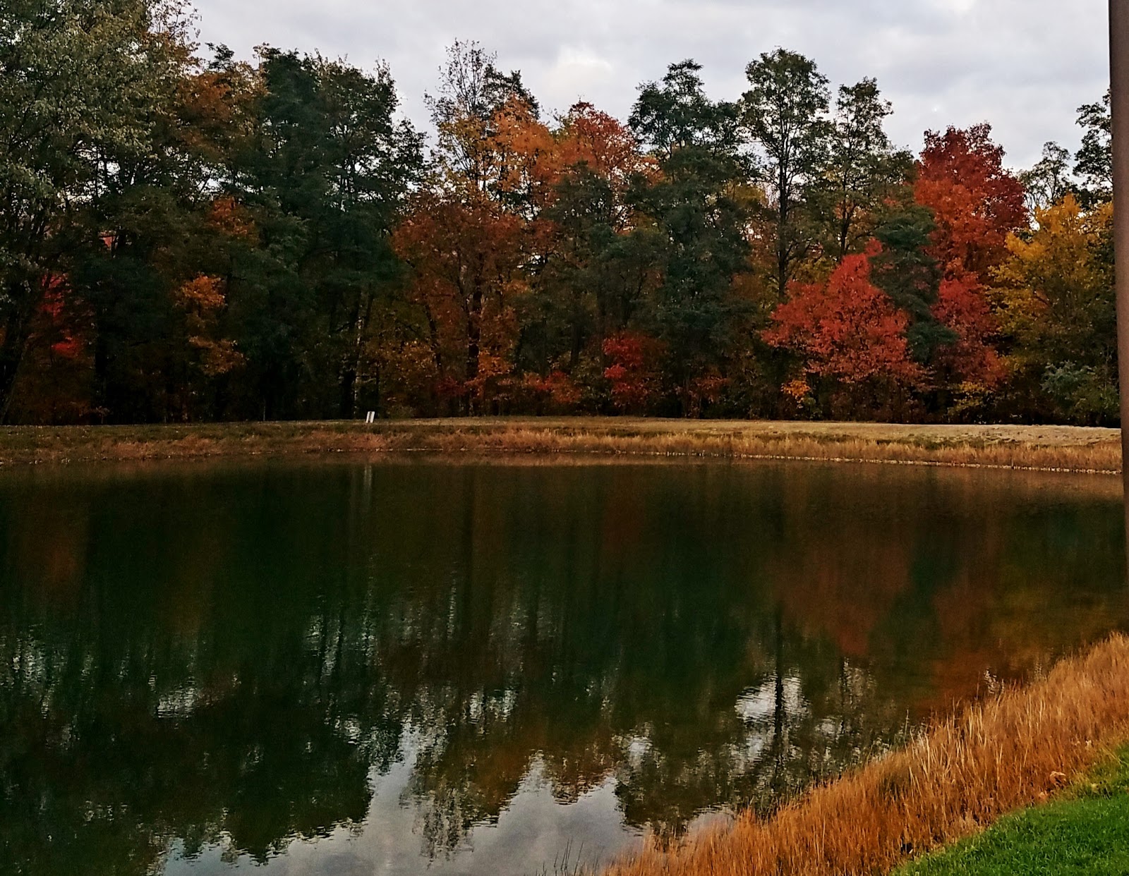 Westfield-Lake Erie KOA