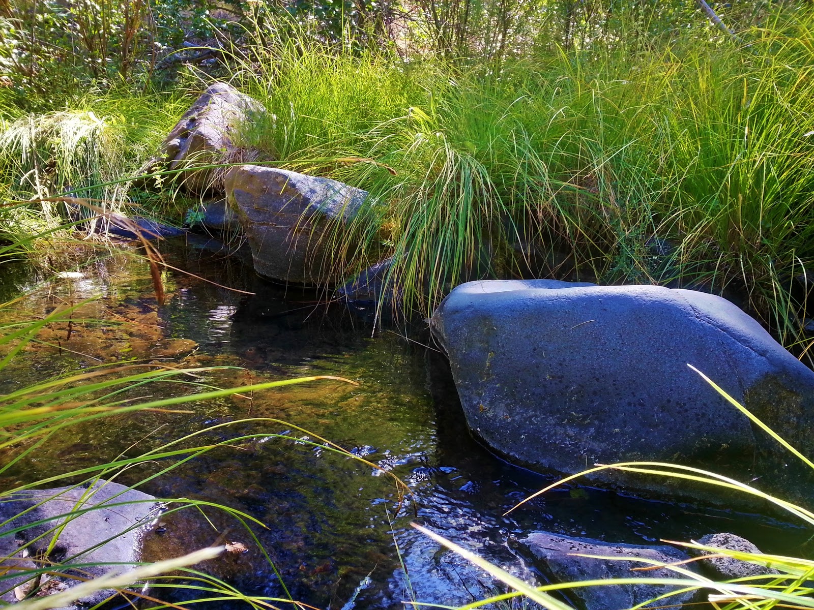 Wilson Lake Campground