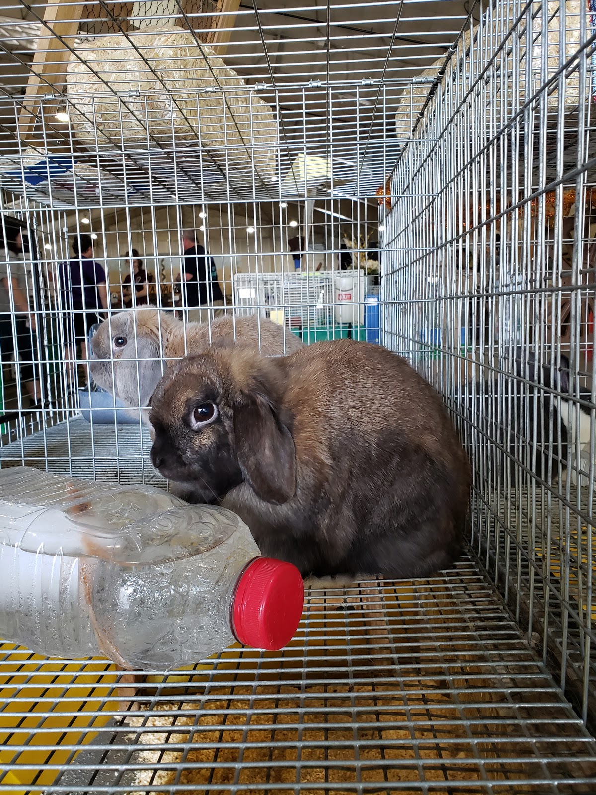 Chelan County Expo Center