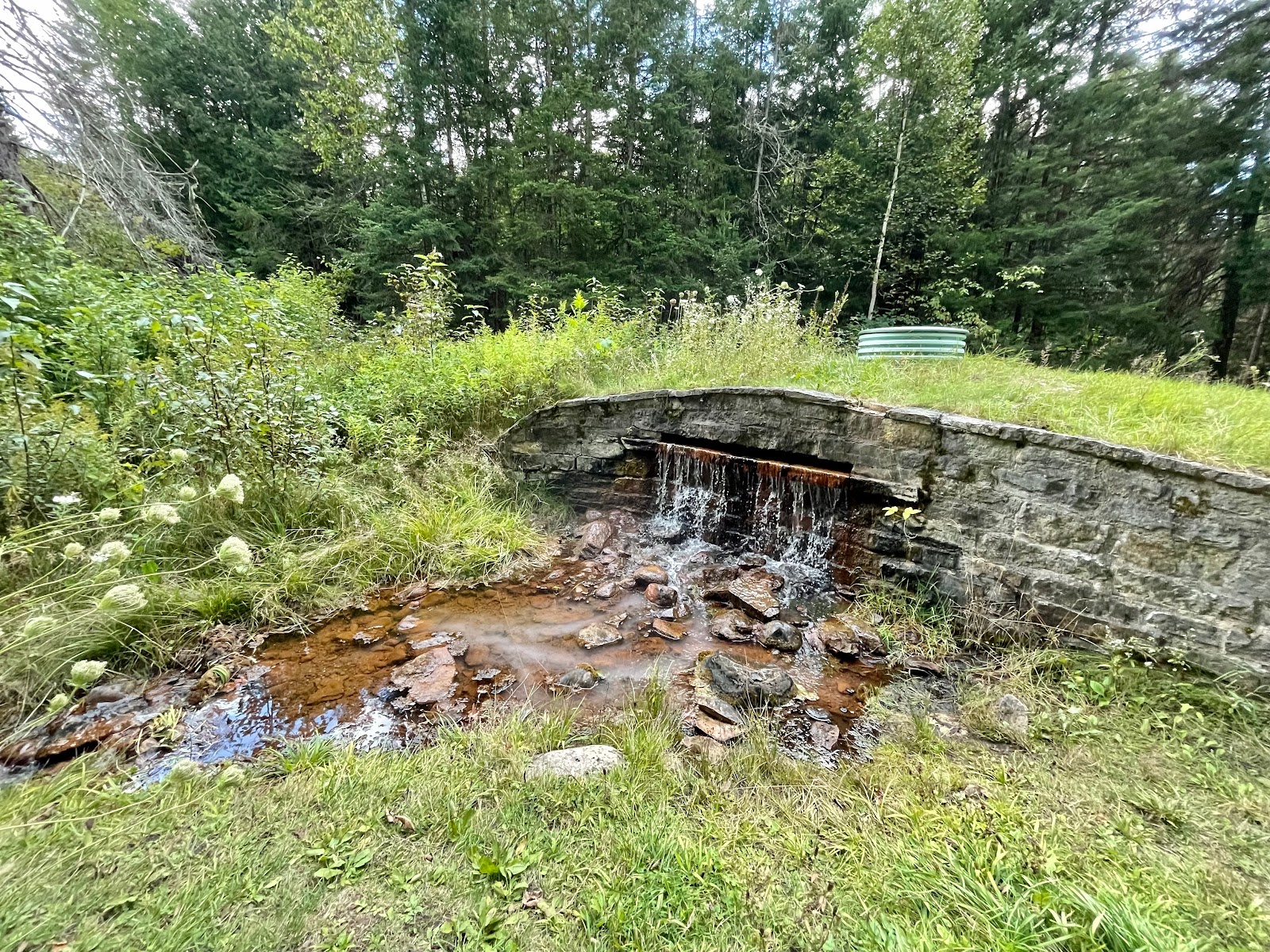 Flowing Well NF Campground