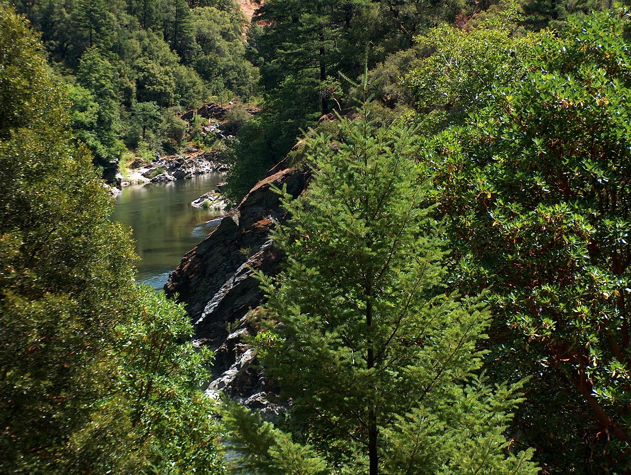 Curly Jack Campground