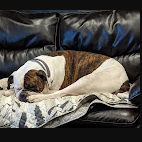 Pine Lake Campground & RV Park