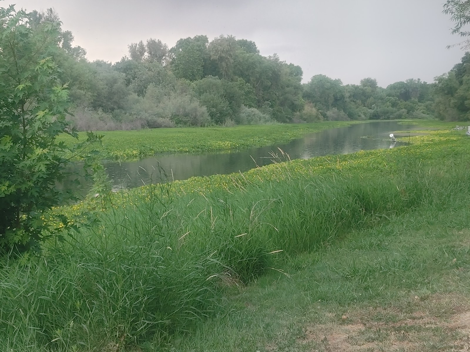 Bidwell-Sacramento River SP