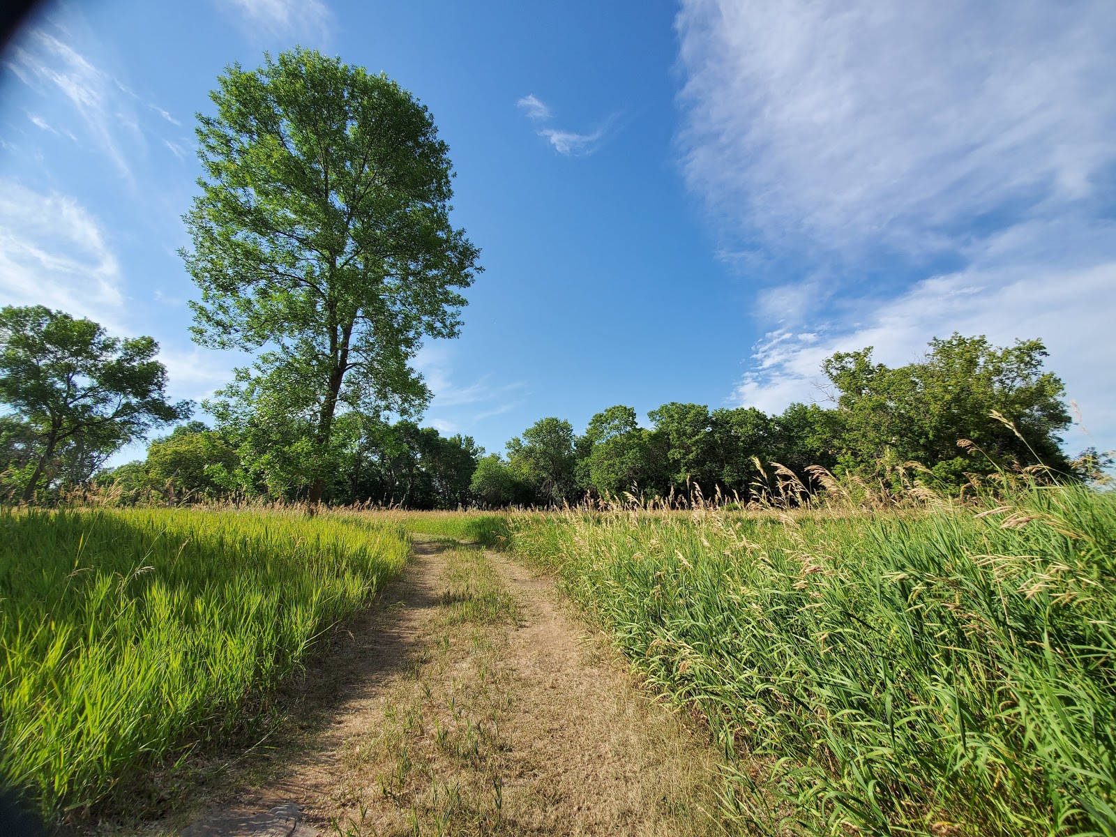 Big Stone Lake State Park