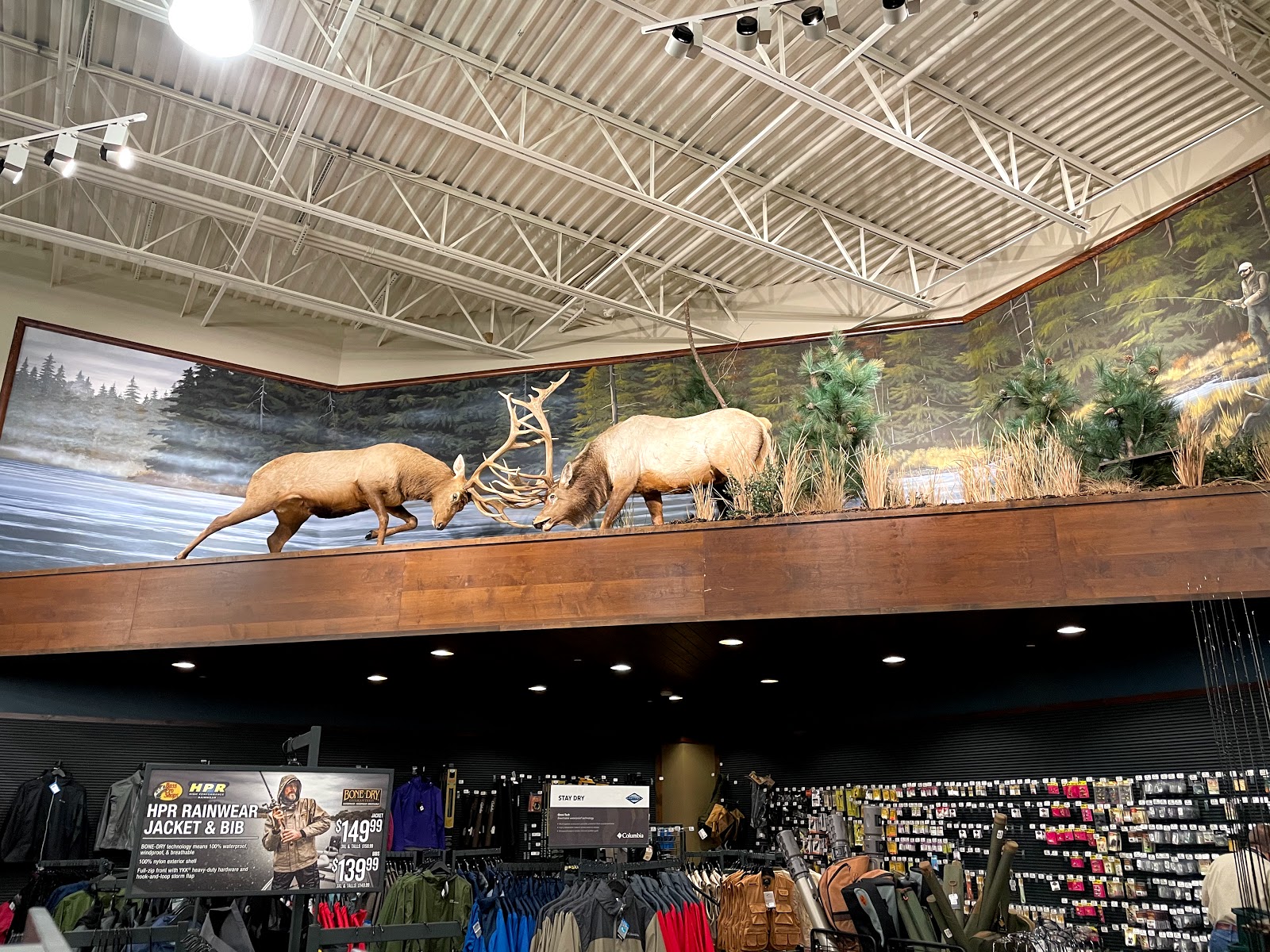 Cabela's