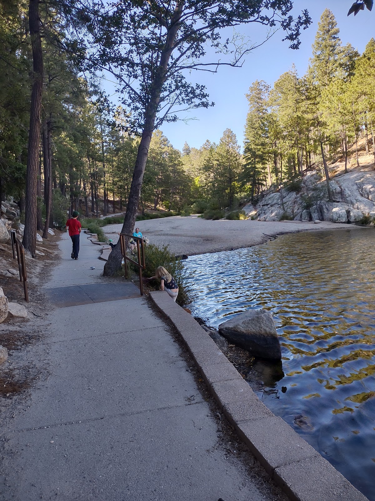 Rose Canyon Campground