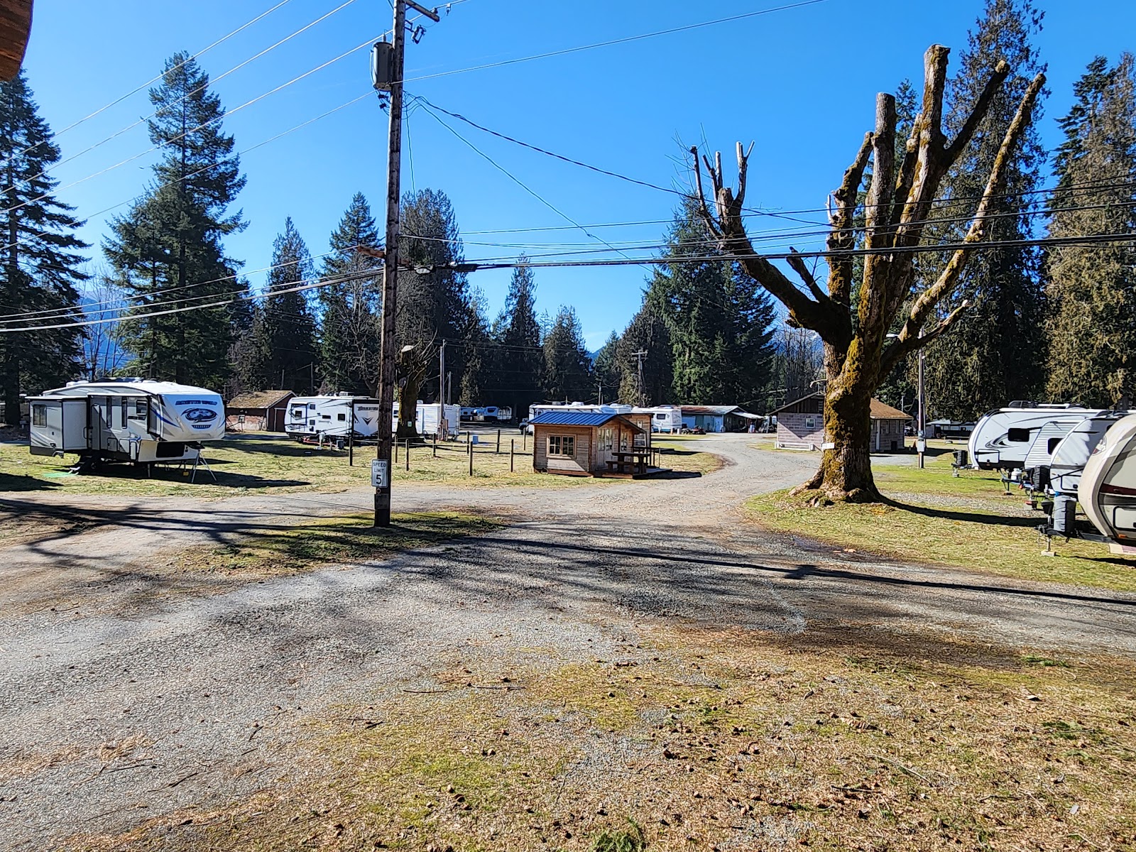 Packwood Campground