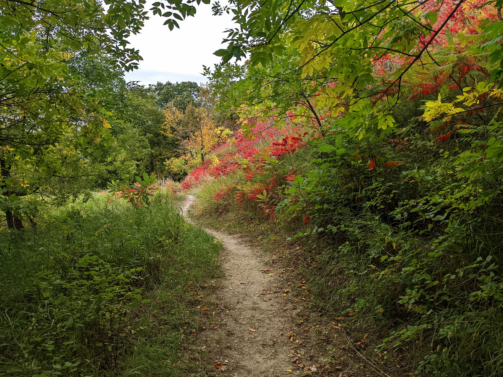 Turtle River State Park