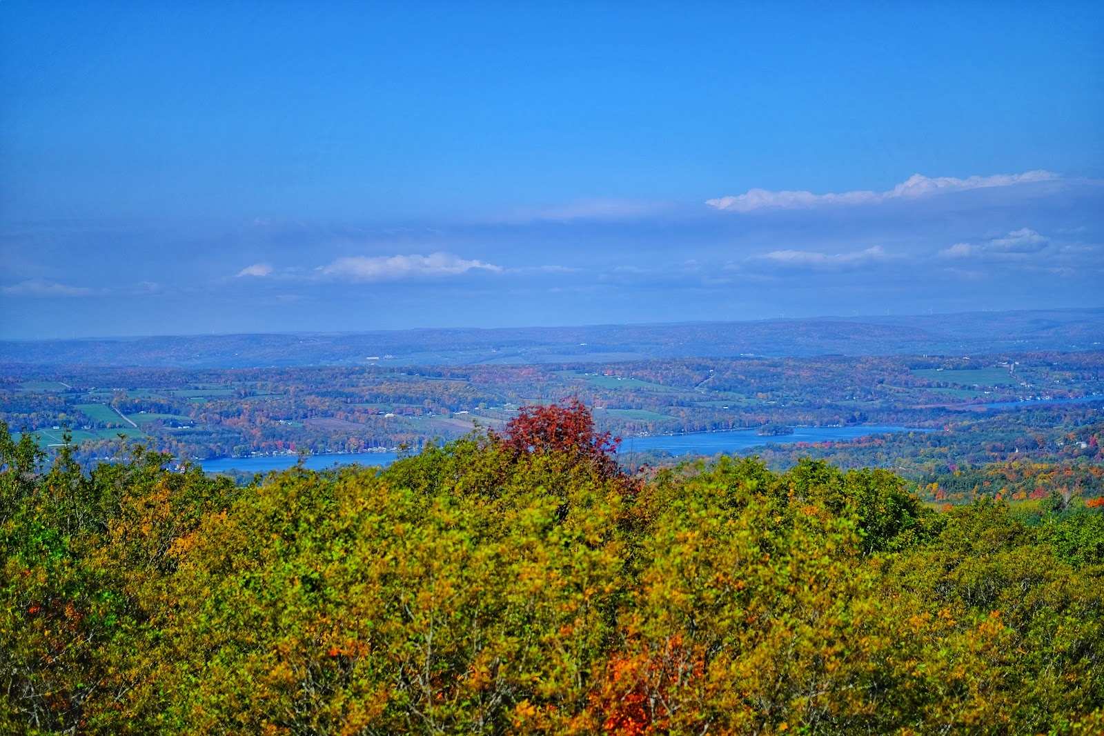 Sugar Hill State Forest