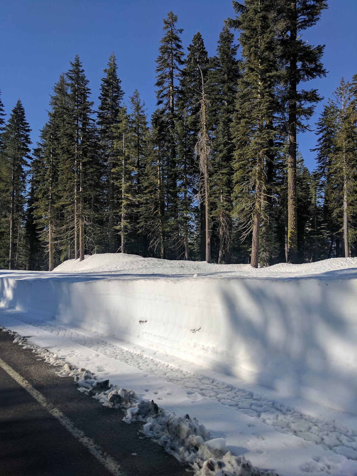 Snag Lake Campground