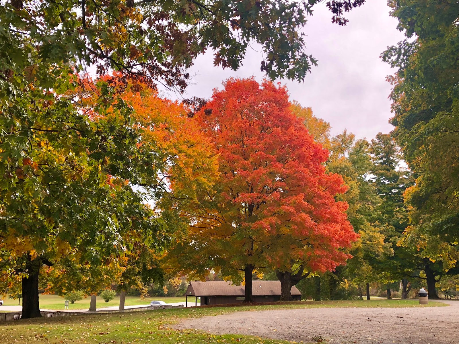 Silver Springs Campground
