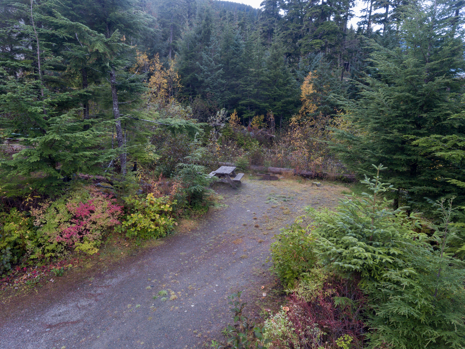 Salmon Run Campground & Cabins