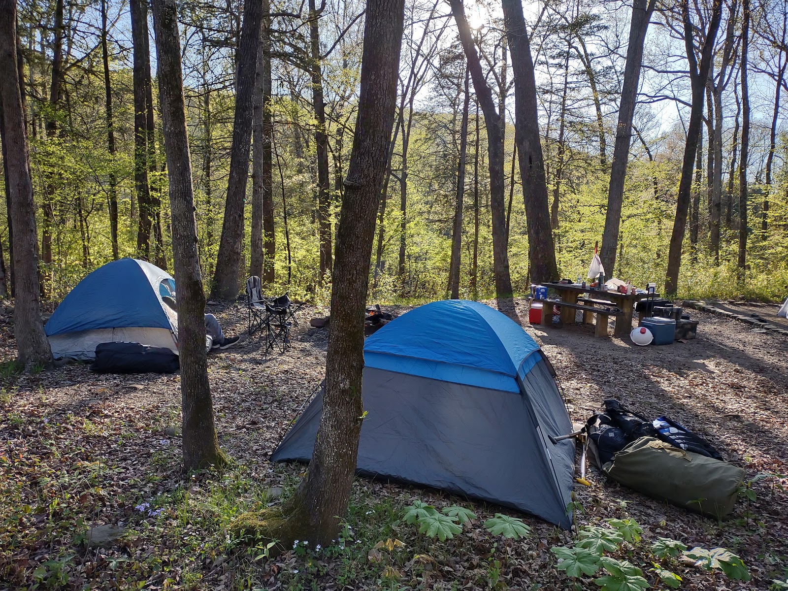 Redding Recreation Area & Campground