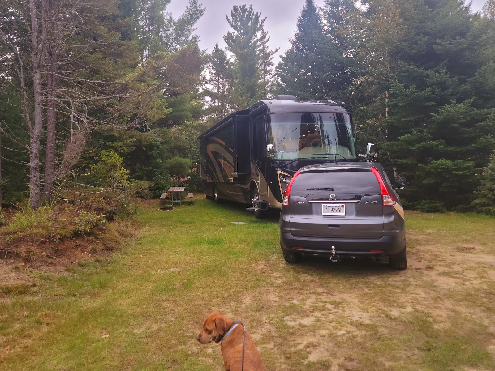 Beech Hill Campground