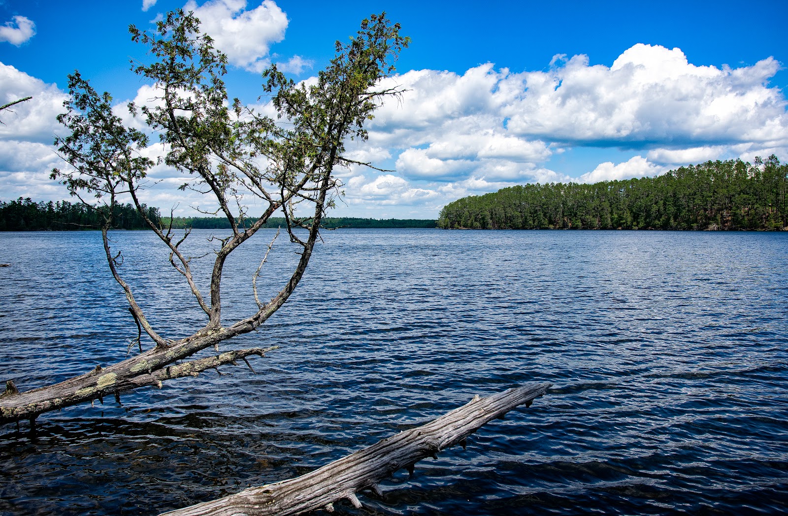 Chase Point - Scenic State Park