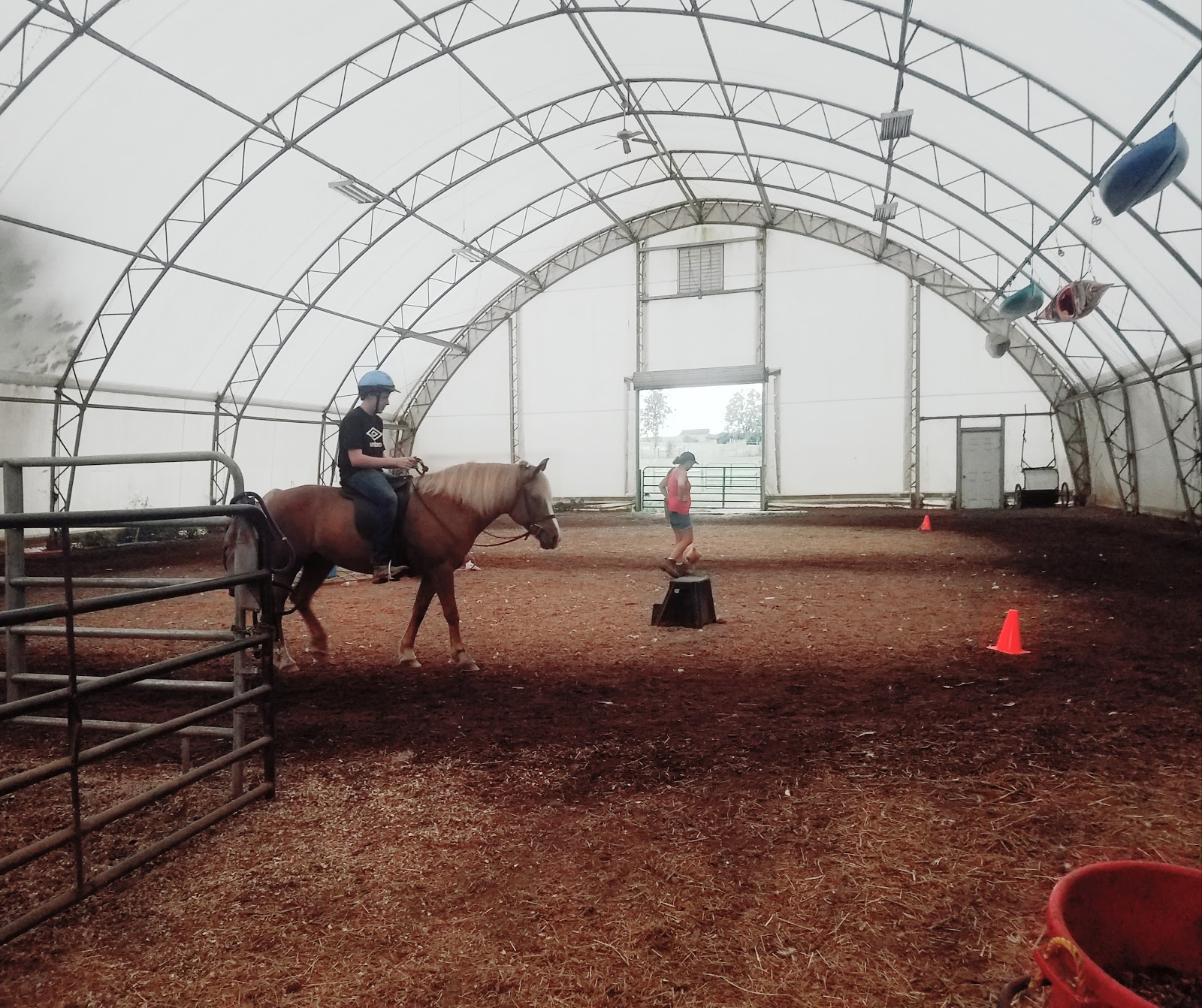 Mint Lick Lodge B&B & Horse Layover