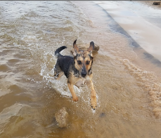 Washington Irving Cove South