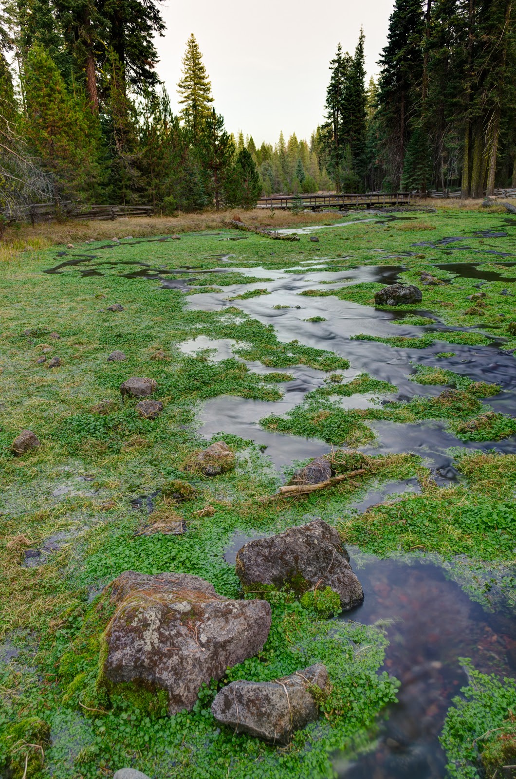 Domingo Springs Campground