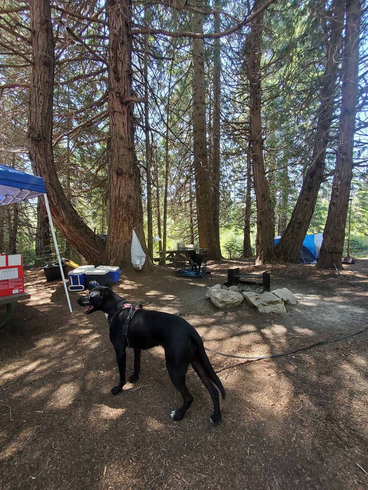 Whiskers Campground